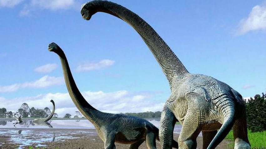 Dinosaure géant en Afrique